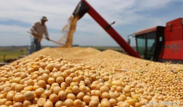 美國大豆出口大會閉幕，中國買家一顆沒買